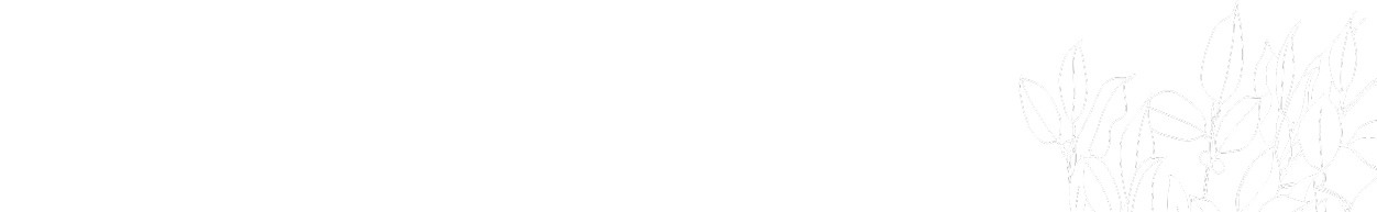 سياسة الخصوصية